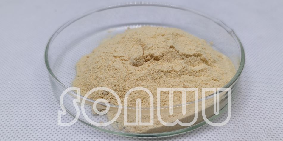 Epicatechin 90% POWDER