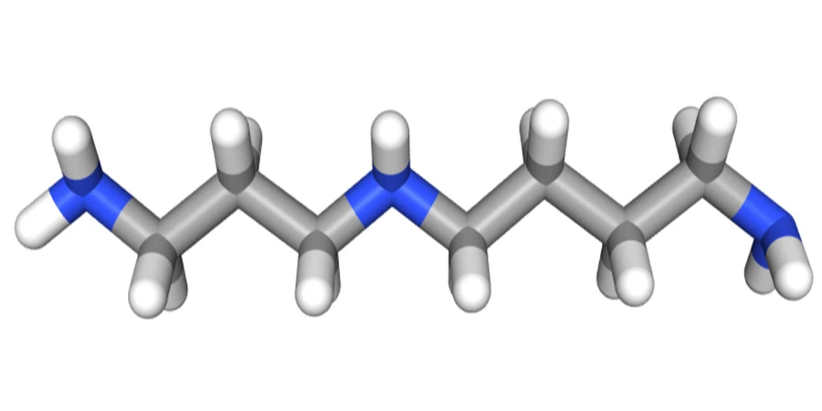 Spermidine  er
