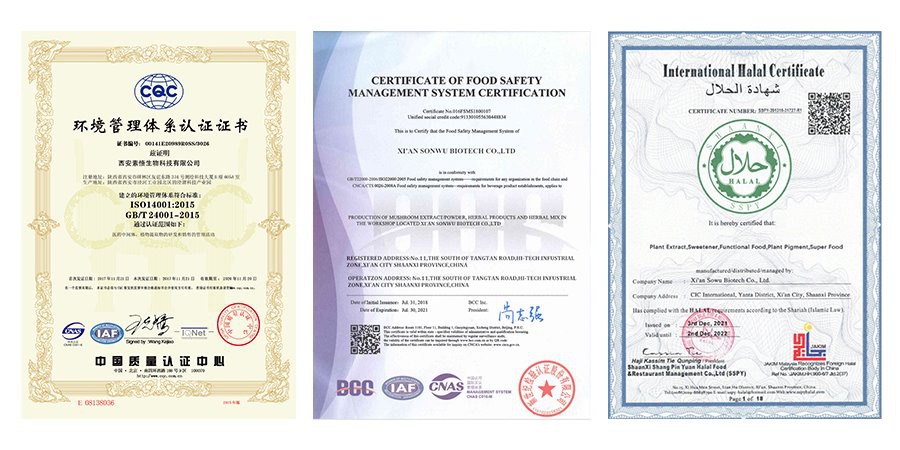 RU58841 CERTIFICATE