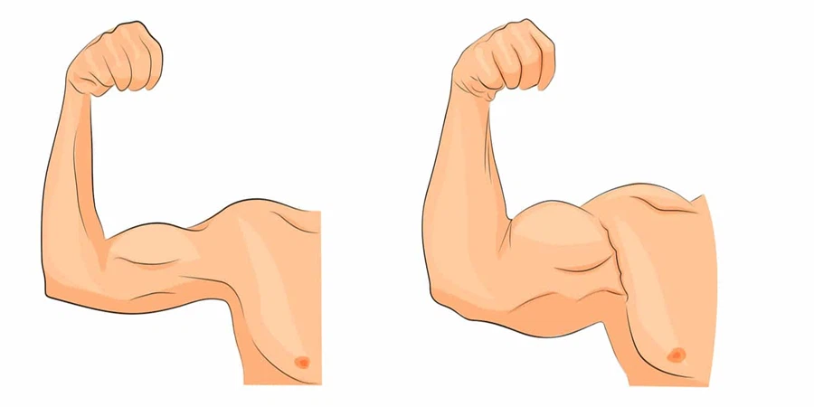 MK2866 powder4 MK2866 powder4