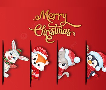 Te deseo una feliz Navidad y todo lo mejor.