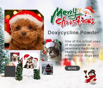 Se acerca el año nuevo, ¿estás listo para darle la bienvenida?