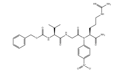 Urokinase structure