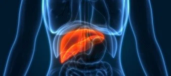 Why Is Pyrazinamide Hepatotoxic