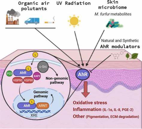 Activation of the Aryl Hydrocarbon Receptor (AhR) Activation of the Aryl Hydrocarbon Receptor (AhR)