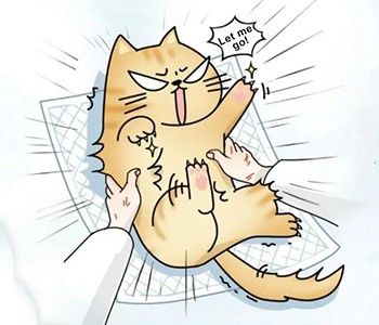 ¿Cuál es la diferencia entre anestesia y sedación? 5 datos imprescindibles so...