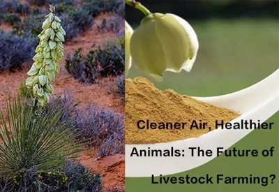 Aire más limpio, animales más sanos El futuro de la ganadería
