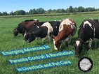 Avances emergentes en el control de parásitos: una revolución en el cuidado d...