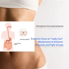 Los científicos se centran en los mecanismos del intestino permeable para mej...