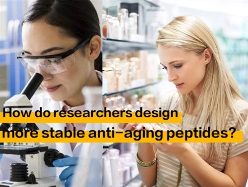 ¿Cómo diseñan los investigadores péptidos antienvejecimiento más estables?