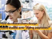 ¿Cómo diseñan los investigadores péptidos antienvejecimiento más estables?